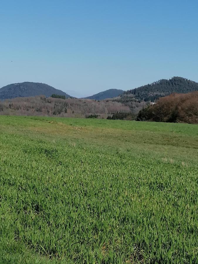 Willa Air Paix Le Mont Herpelmont Zewnętrze zdjęcie